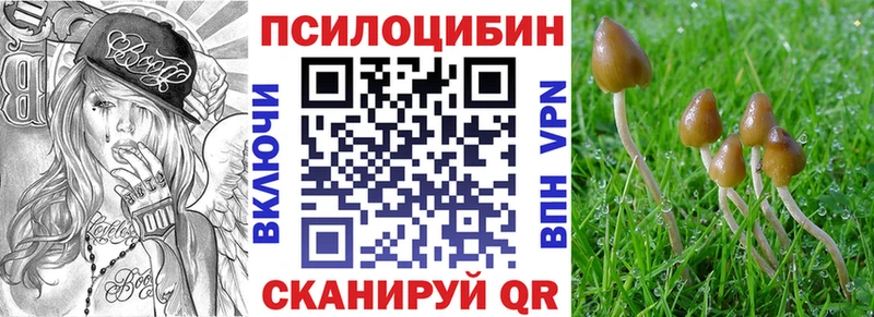 купить   Коломна  Галлюциногенные грибы прущие грибы 
